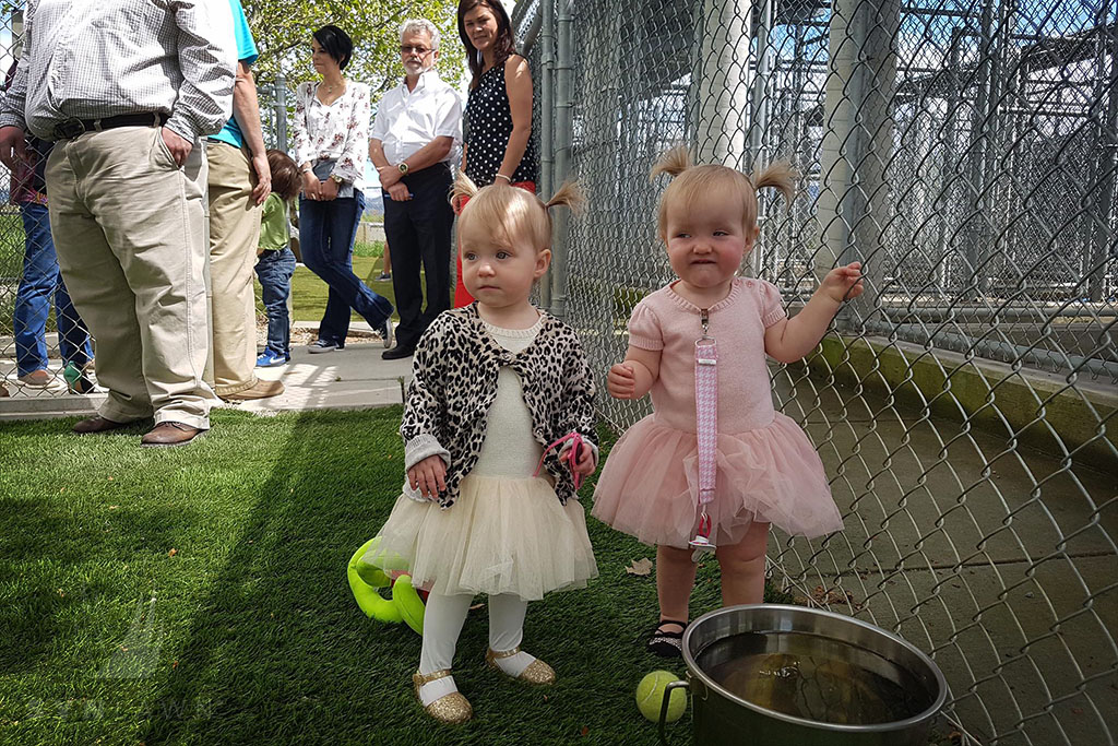 image of girls at dog shelter with pet turf