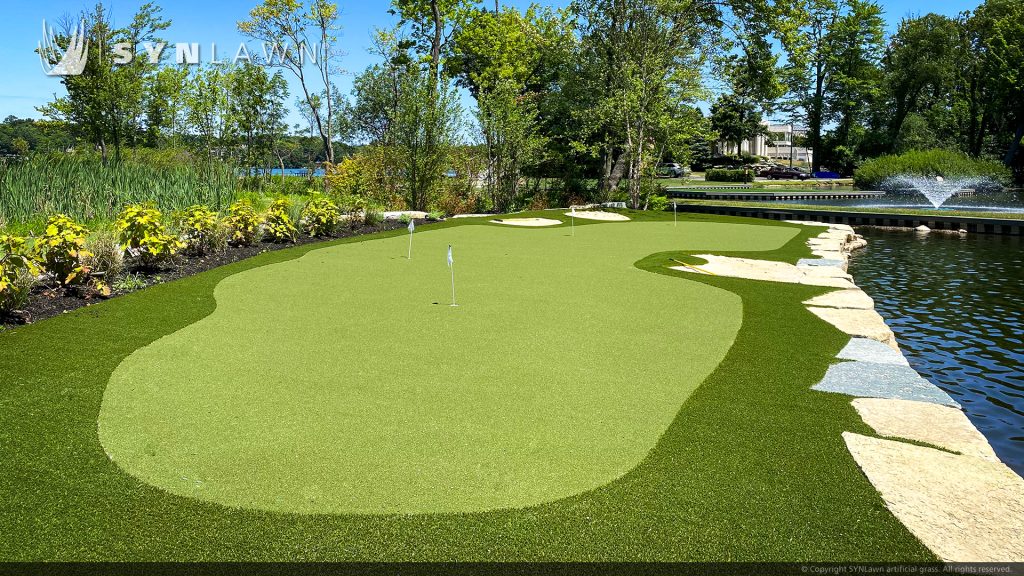 image of SYNLawn Michigan Waterfront Residential Backyard