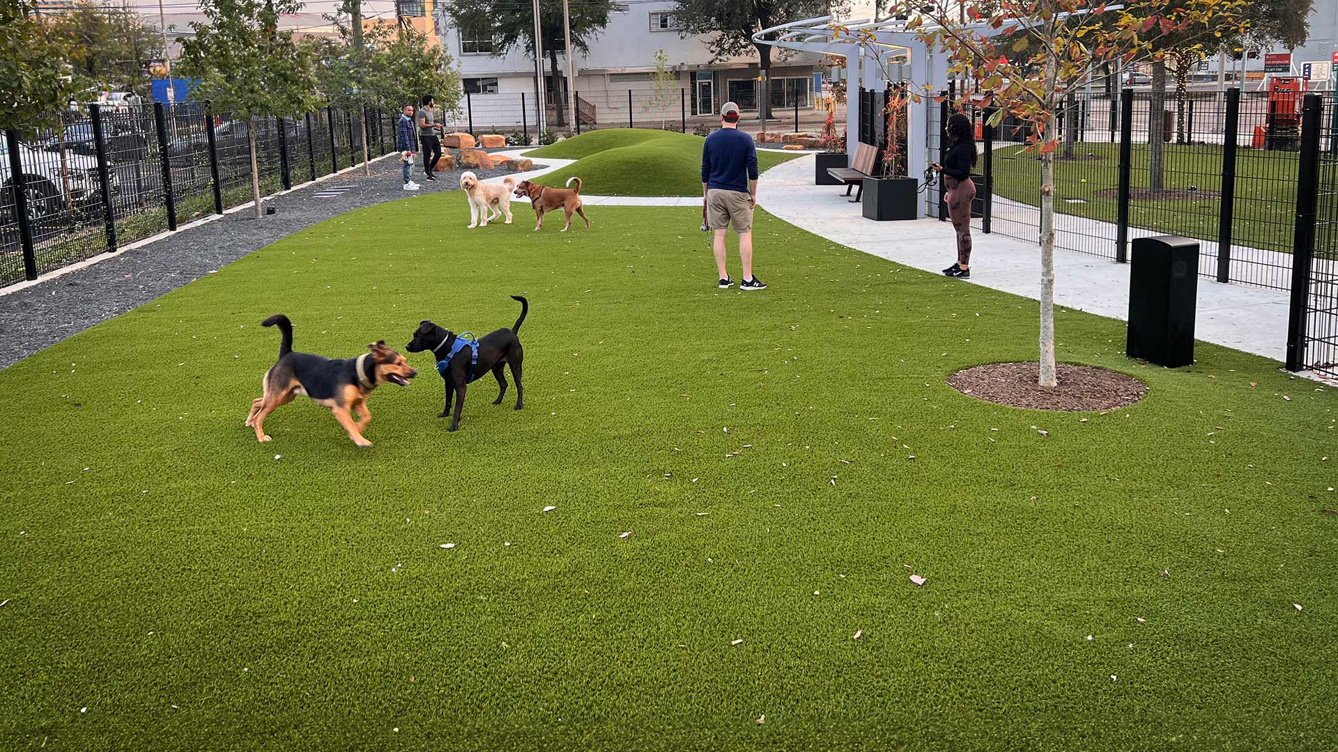 Haustierbesitzer in der Innenstadt von Houston profitieren vom neuen Hundepark
