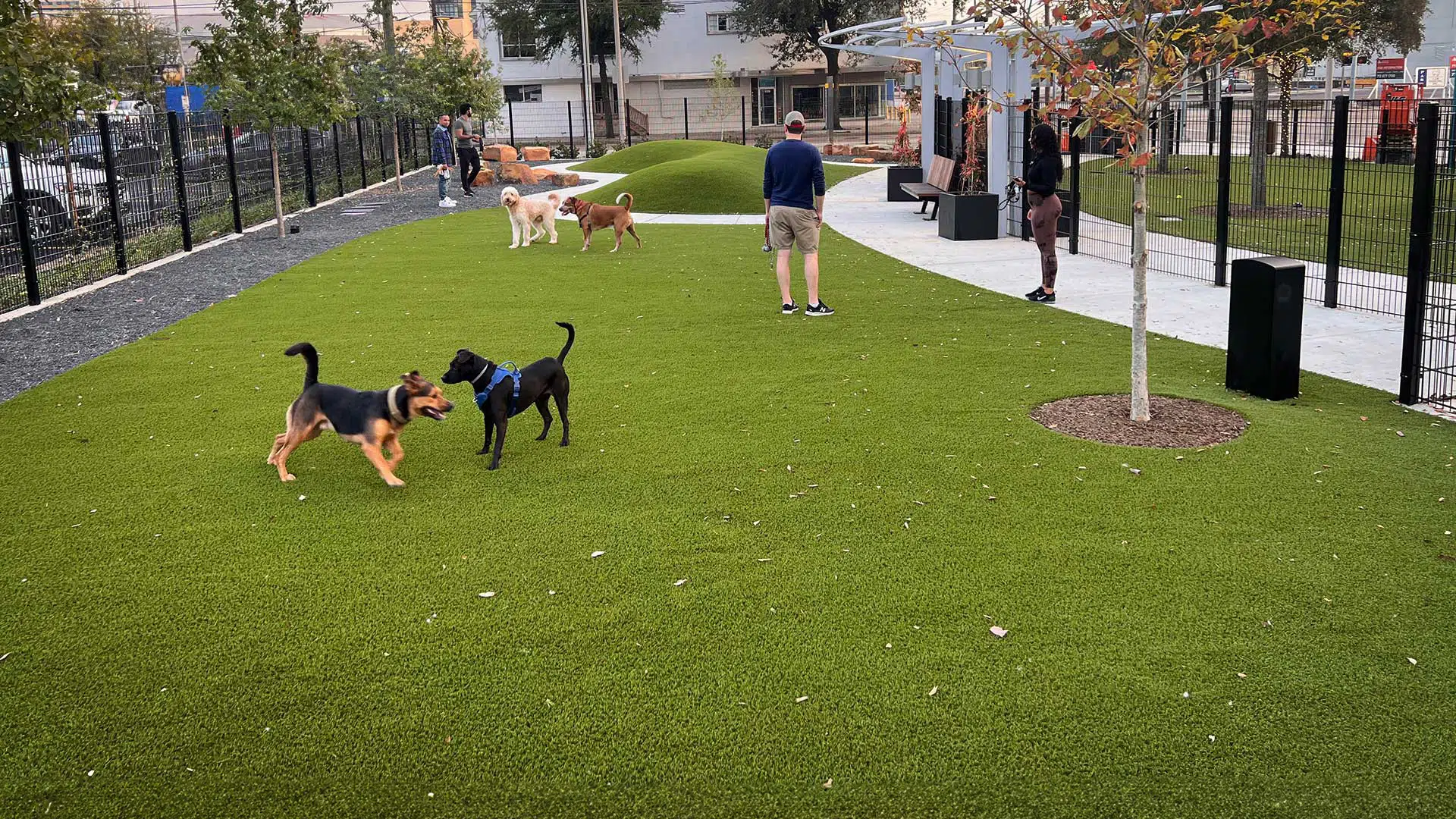 Downtown Houston Pet Owners Benefit from New Dog Park