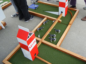 image of putt putt golf course made with synlawn golf artificial putting green grass