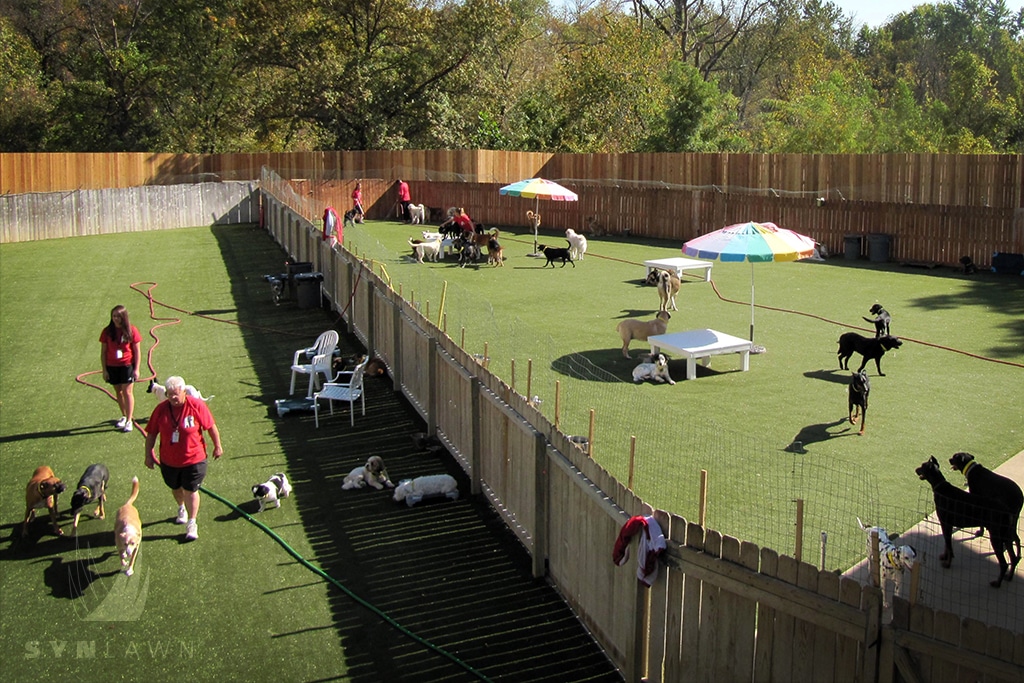Pet Turf: 6 Ways to Use It in Your Commercial Pet Areas