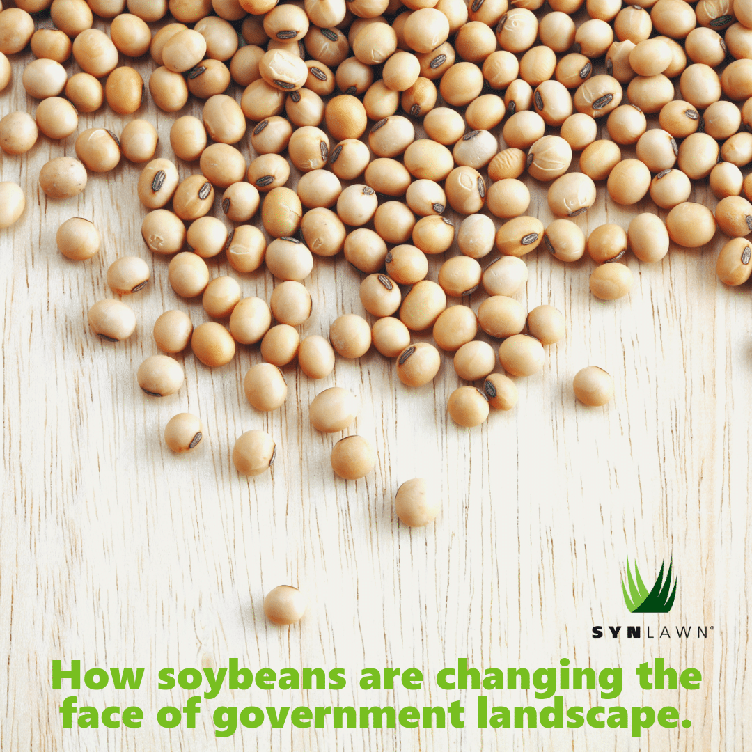 How Soybeans Are Changing the Landscape of Governments