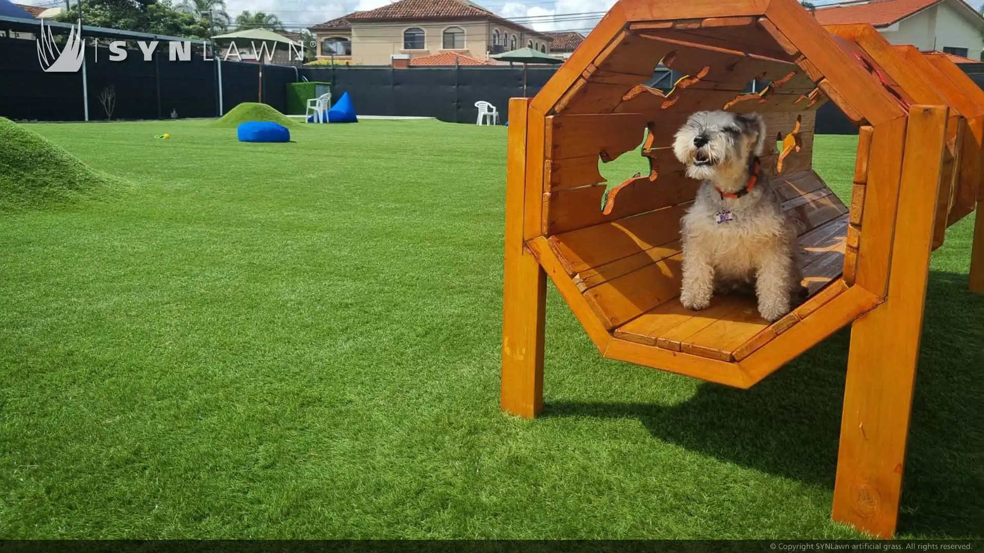哥斯达黎加最大的狗狗日托中心升级设施，配备宠物安全草坪