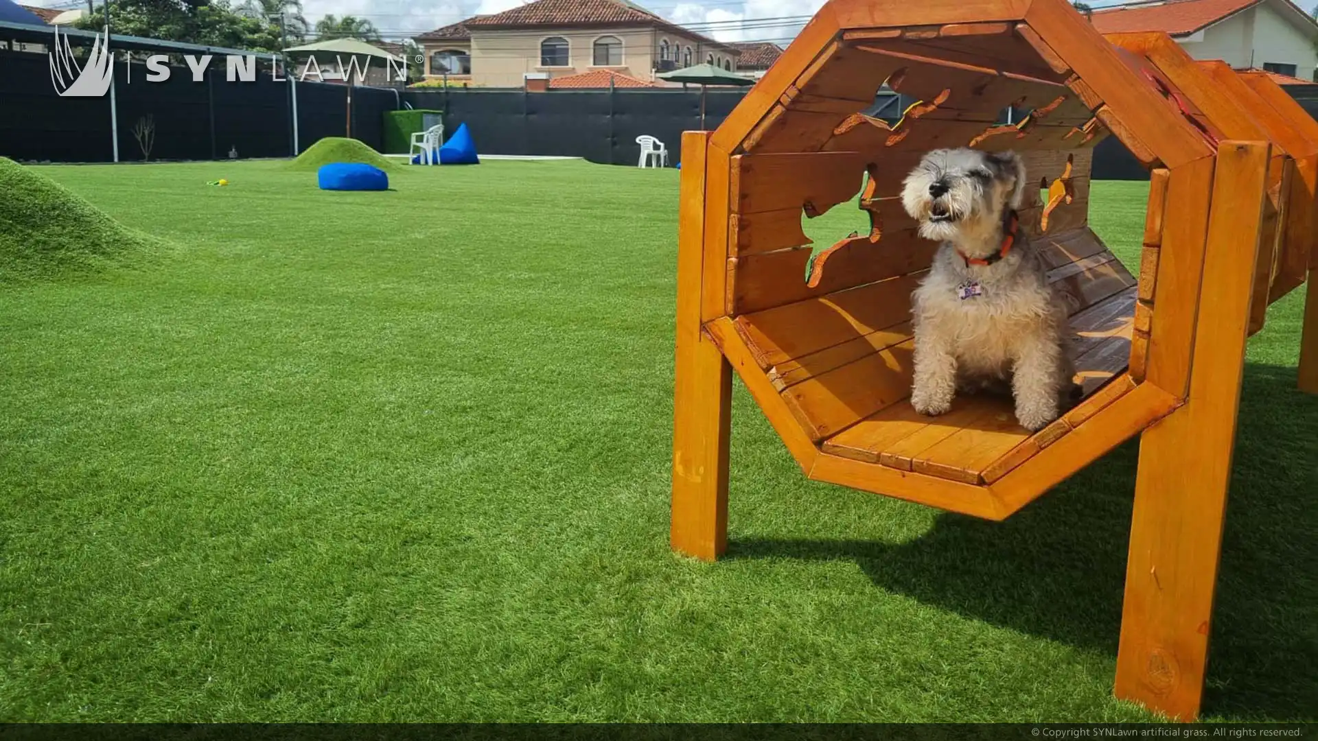 La plus grande garderie pour chiens du Costa Rica modernise une garderie avec un gazon sécurisé pour animaux de compagnie