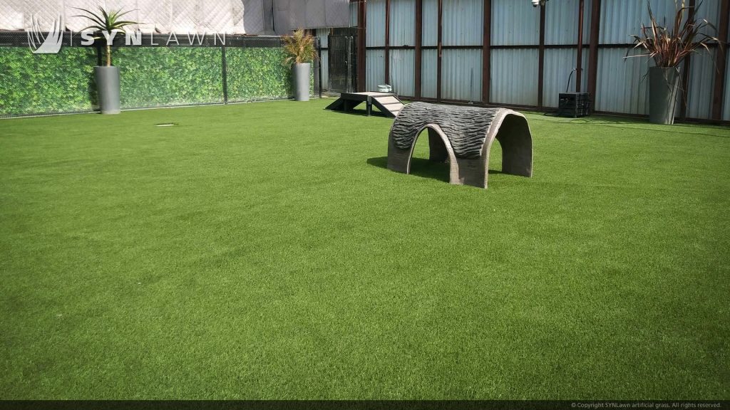 SYNLawn Bay Area San Francisco artificial grass for Pet Camp Day Care Facility