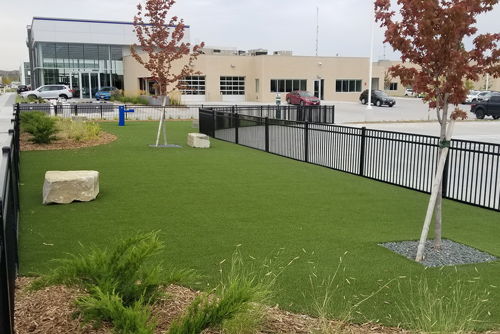 SYNLawn Nebraska crea un parco per cani comunitario per la concessionaria Subaru di Omaha