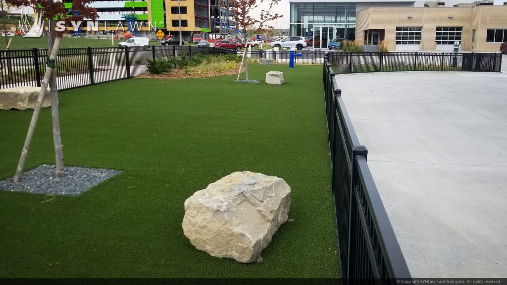 image of SYNLawn Pet Safe Synthetic Grass Community Dog Park at Omaha Nebraska Baxter Subaru