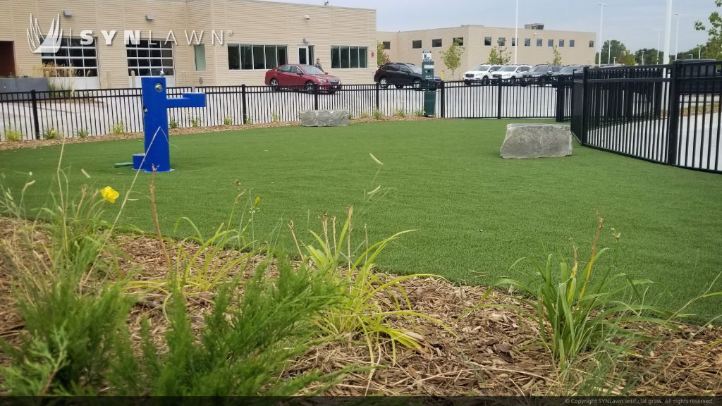 image of SYNLawn Pet Safe Synthetic Grass Community Dog Park at Omaha Nebraska Baxter Subaru