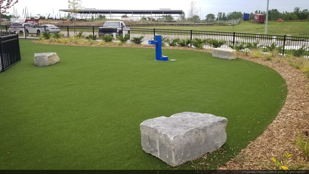 image of SYNLawn Pet Safe Synthetic Grass Community Dog Park at Omaha Nebraska Baxter Subaru