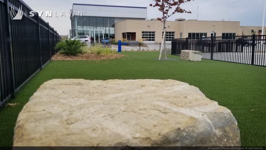 image of SYNLawn Pet Safe Synthetic Grass Community Dog Park at Omaha Nebraska Baxter Subaru