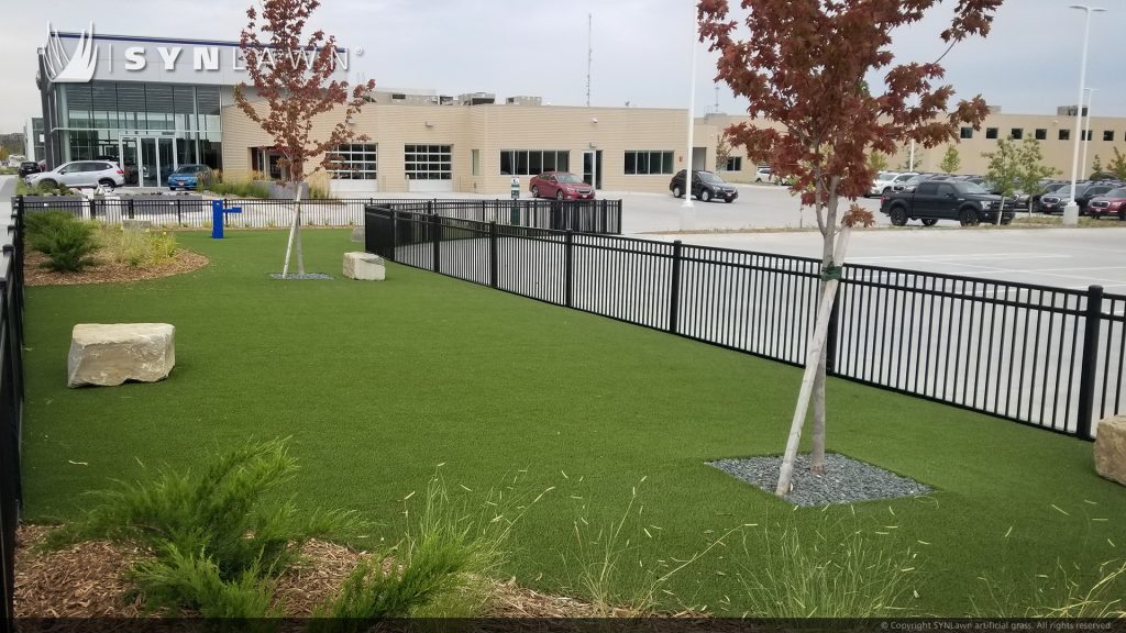 image of SYNLawn Pet Safe Synthetic Grass Community Dog Park at Omaha Nebraska Baxter Subaru
