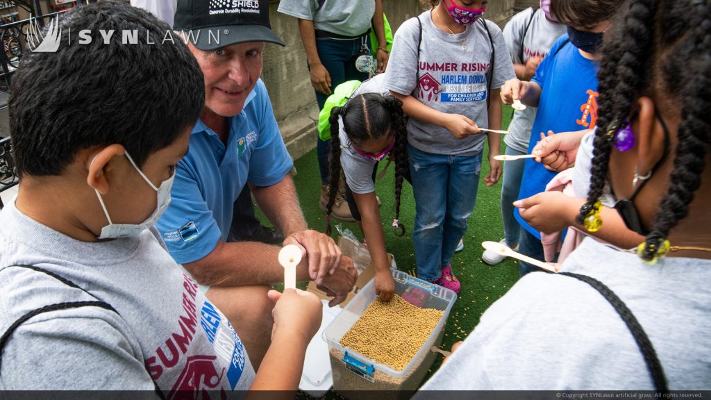 image of SYNLawn artificial grass at Harlem New York Boys and Girls Club for Farmers on the Green event