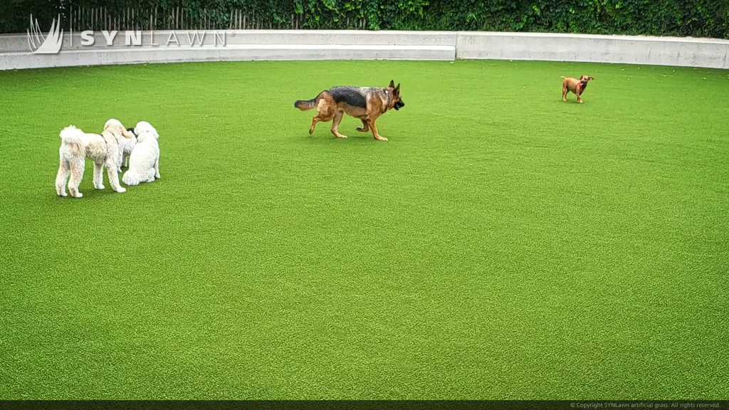 image of SYNLawn artificial pet grass at Brooklyn Bridge Dog Park Pier 6 New York NYC