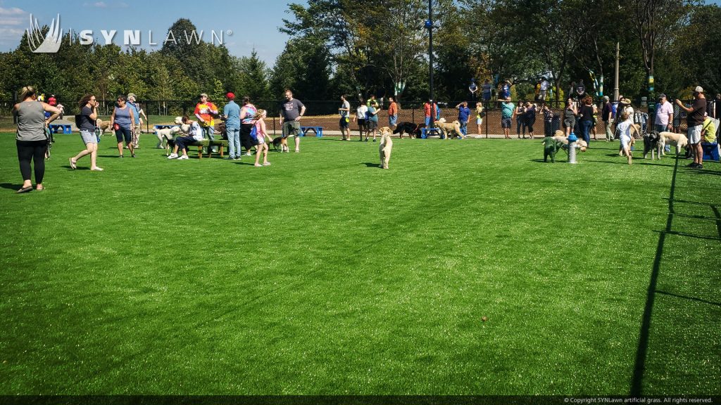 image of synlawn artificial at barkwood dog park beachwood ohio