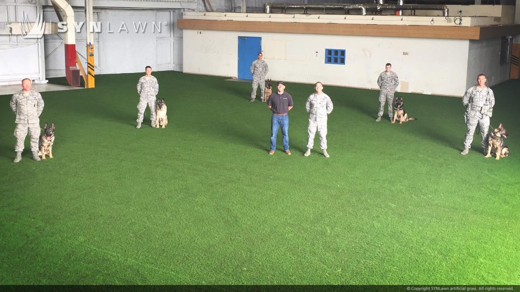 image of military hangar with synthetic pet grass