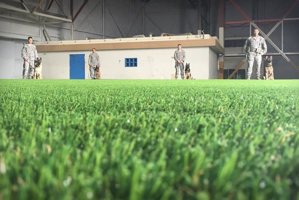 L'erba artificiale per animali domestici trasforma l'hangar in una struttura di addestramento MWD