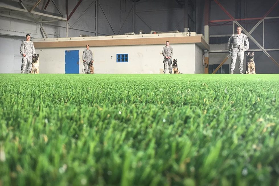 Künstliches Haustiergras verwandelt den Hangar in eine MWD-Trainingseinrichtung