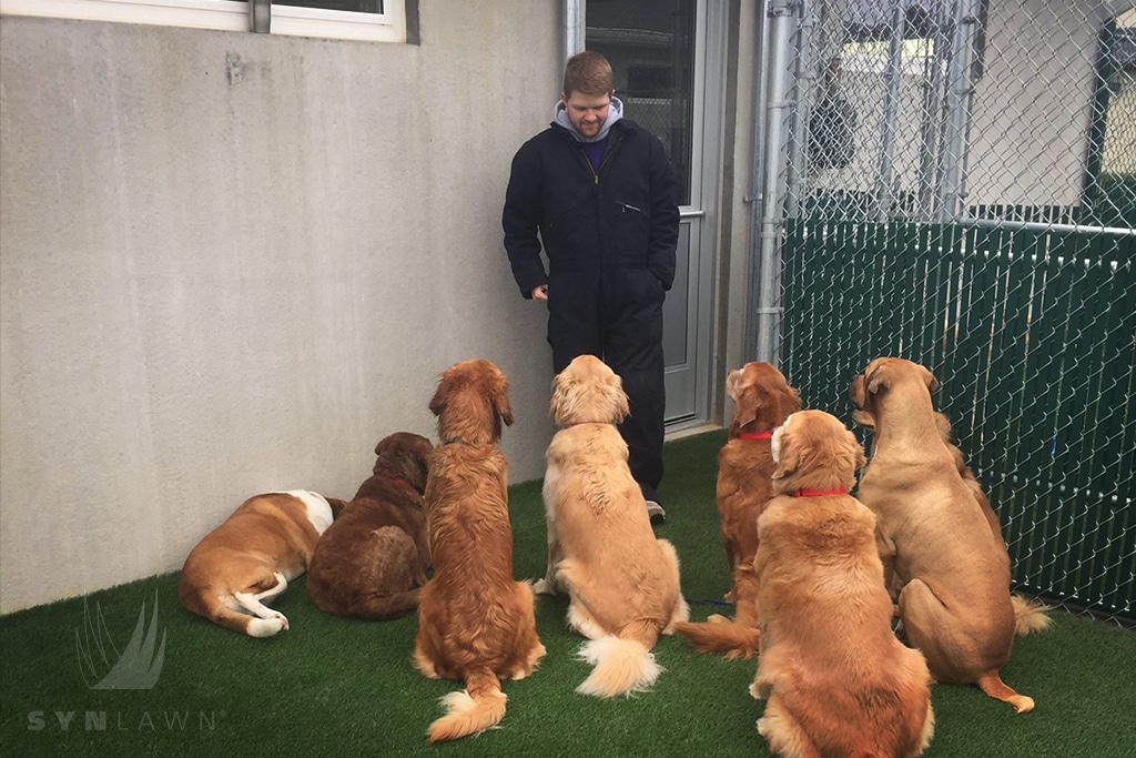 image of staff shoveling snow over artificial pet grass