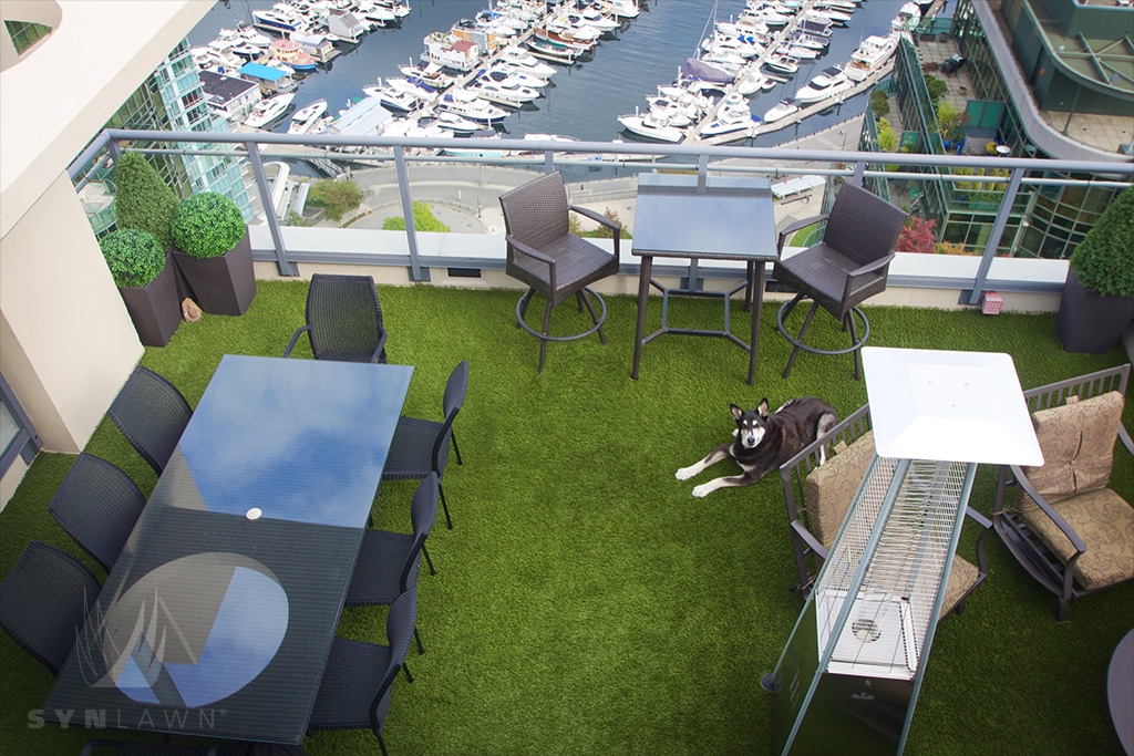 image of a dog on a balcony with pet-friendly synlawn