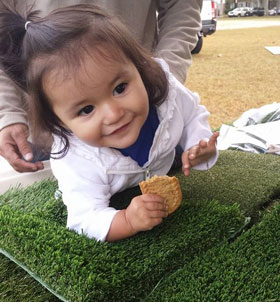 image of baby crawling on synlawn