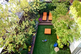 image of new york roof with artificial grass