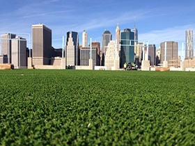 image of artificial grass at the brooklyn bridge