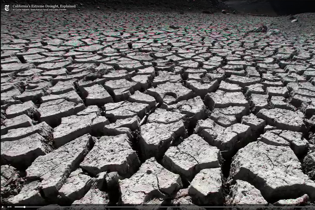 Mantenerse ecológico en California