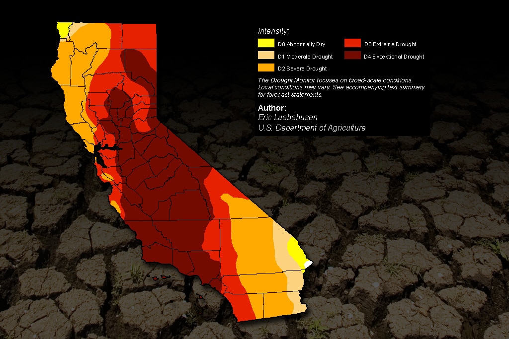 Homeowners switching to SYNLawn artificial grass amid California drought