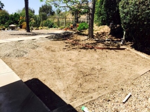 image of California drought residential yard