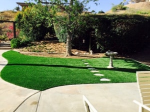 image of California lawn with artificial grass