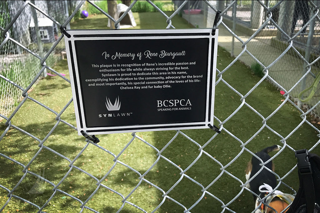 British Columbia SPCA Recognizes SYNLawn’s Contributions to Shelter Improvements