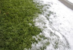 Old man winter cannot harm SYNLawn's artificial grass products.
