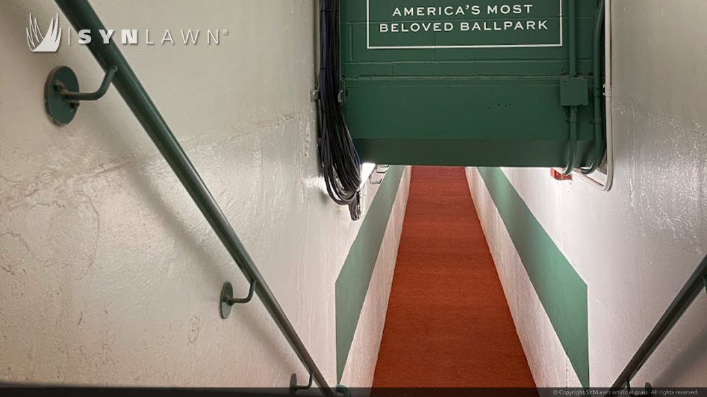 image of SYNLawn synthetic turf at Fenway Park Dugout and Boston Red Sox Player's Tunnel