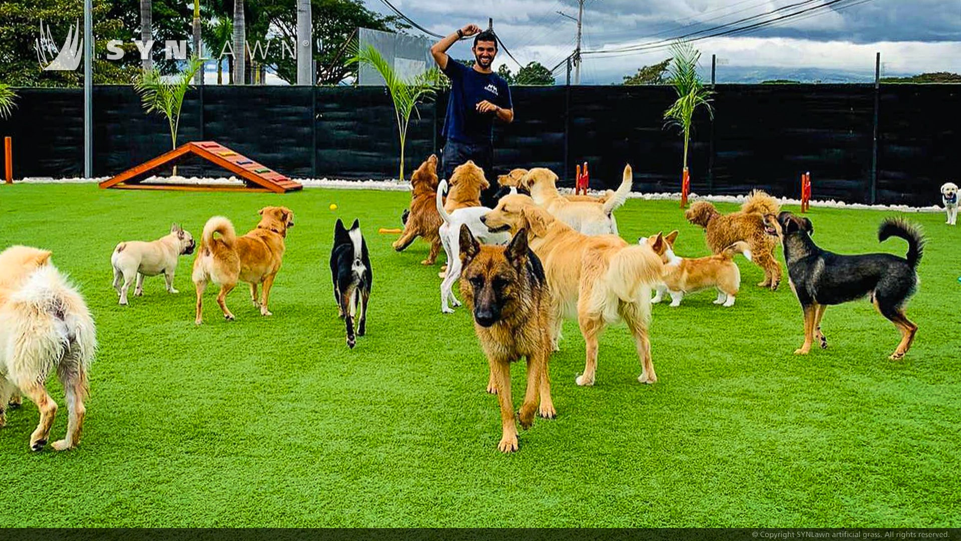 Fünf-Sterne-Haustierhotel und Kindertagesstätte in Costa Rica fügt Spielbereich für Hunde hinzu