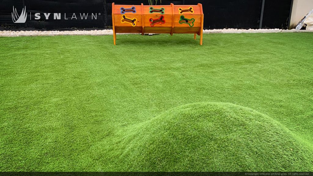 image of SYNLawn artificial grass at Domatico Dog Park Hotel and Daycare in Costa Rica