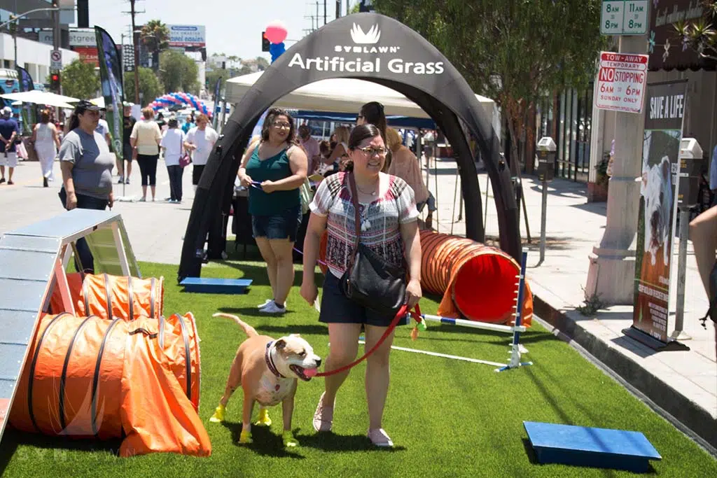 image of synlawn dog agility park at vanderpump dog foundation world dog day