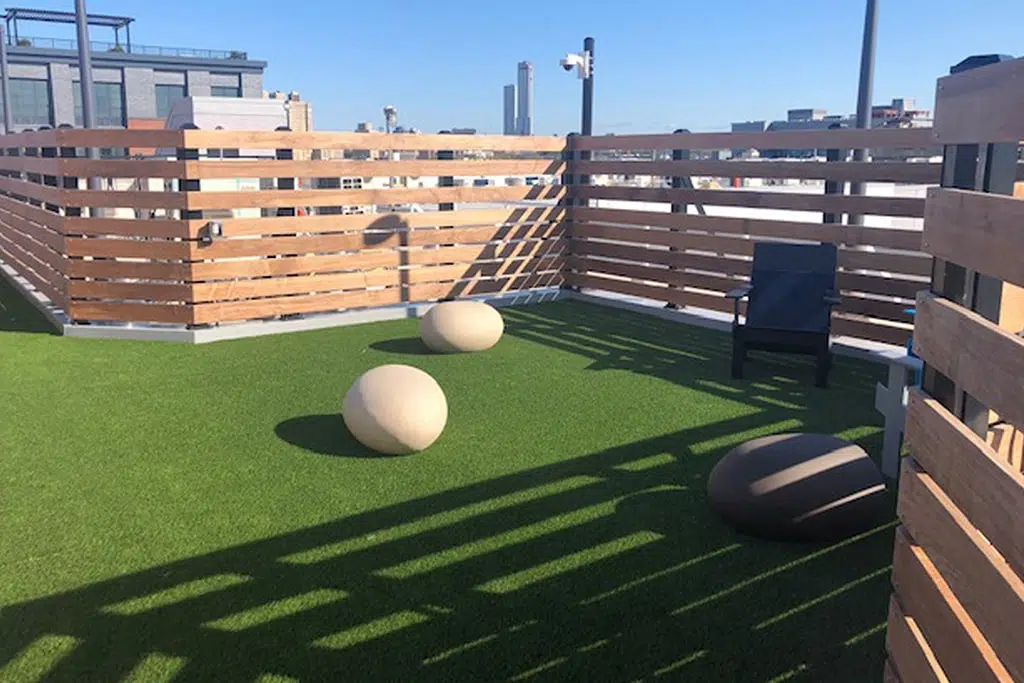 Jersey City Rooftop Dog Park geeft huisdieren de ruimte om te rennen