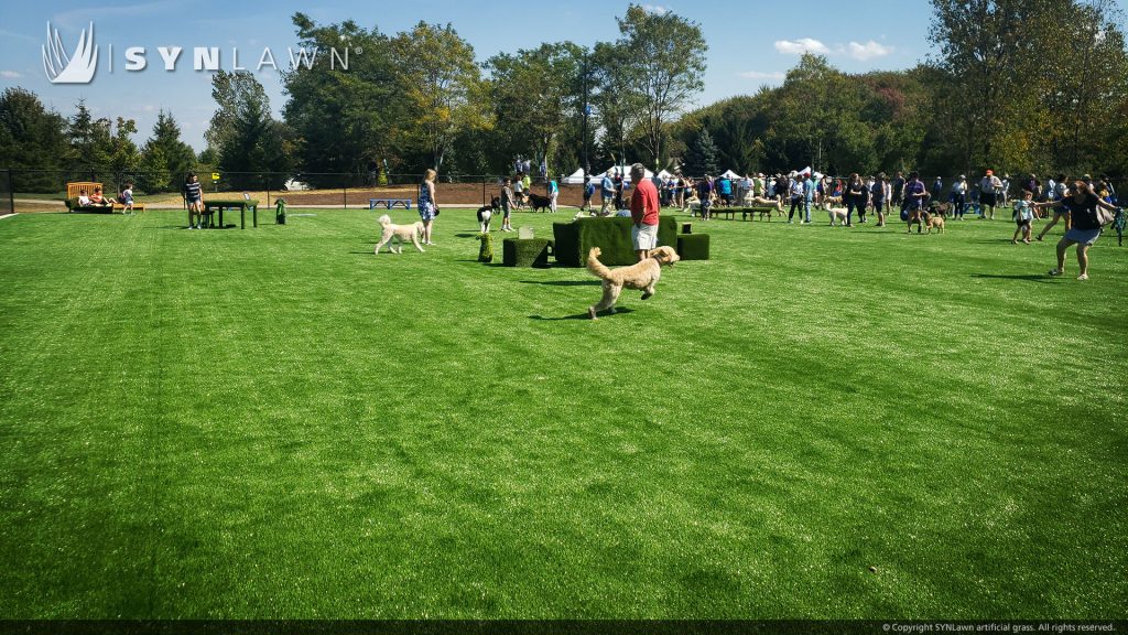 image of synlawn artificial pet grass at barkwood dog park