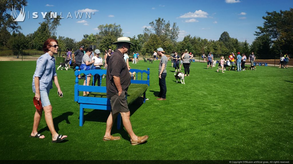 image of synlawn artificial pet grass at barkwood dog park