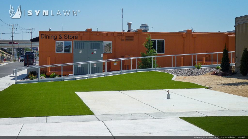image of synlawn artificial grass at the sage street village dorm-style living community reno nevada