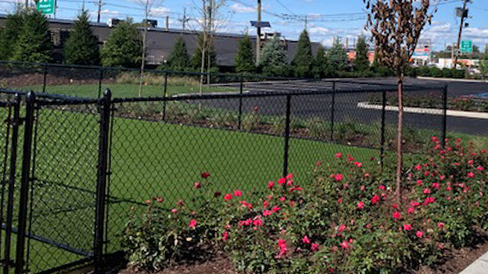 Luxury Rental Community Enhances Residential Amenities with Dog Park