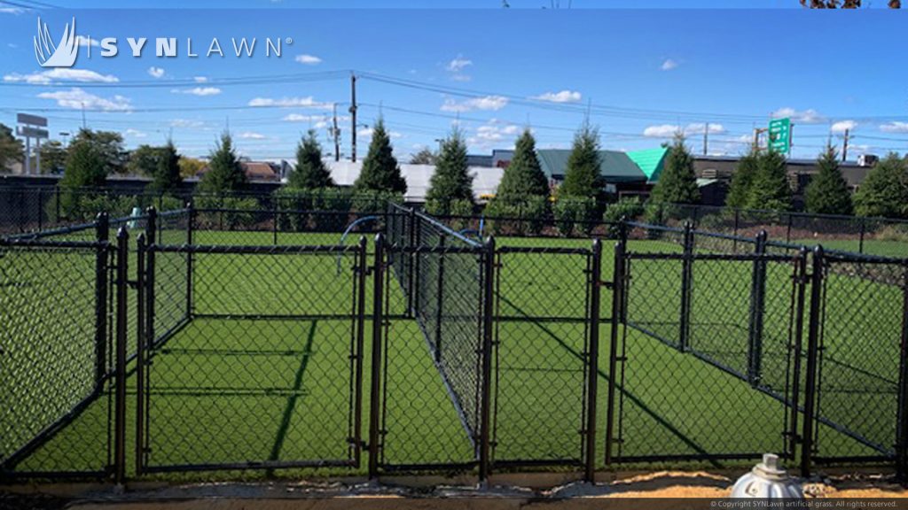 image of SYNLawn artificial grass dog park at the Agnes luxury rental community Jersey City NJ