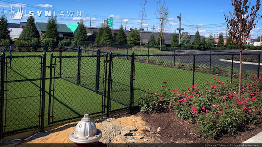 image of SYNLawn artificial grass dog park at the Agnes luxury rental community Jersey City NJ