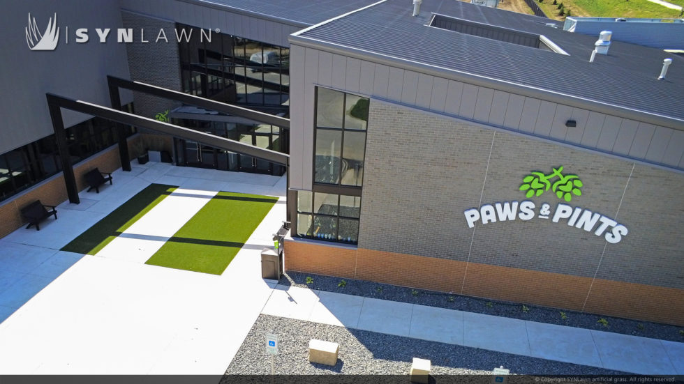 Paws & Pints 为小狗及其主人创造了一个独特的社交天堂