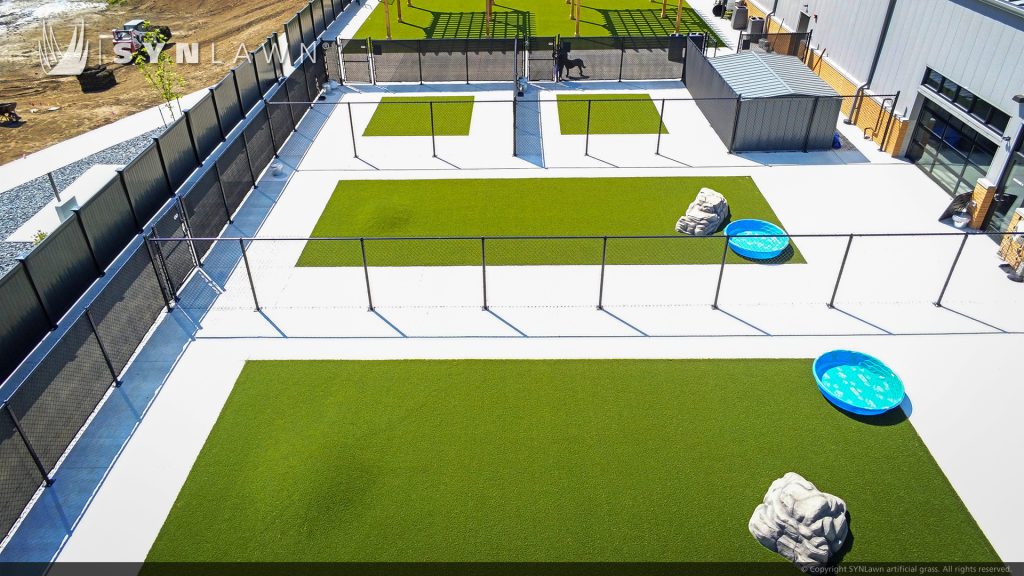 image of SYNLawn artificial pet premium synthetic grass at paws and pints bar social center and dog park in Des Moines Iowa