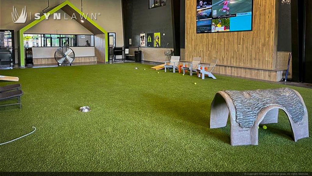 image of SYNLawn artificial pet premium synthetic grass at paws and pints bar social center and dog park in Des Moines Iowa