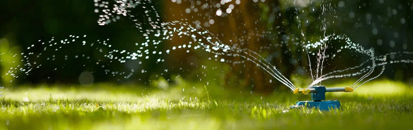 grass and water