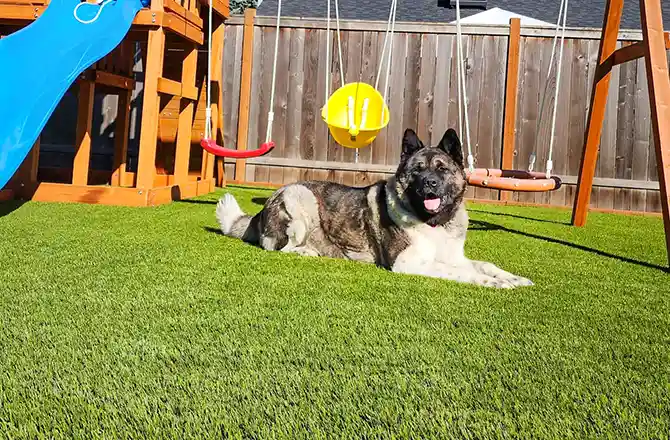 SYNLawn Oregon artificial grass for Pets and Play