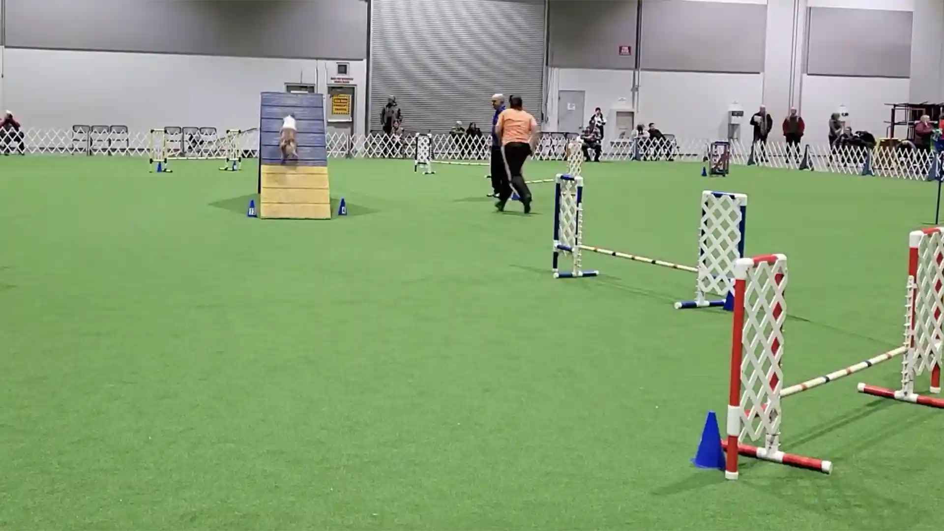 image of SYNLawn artificial pet grass grass at the Rose City Classic Dog Show indoor arena located in Portland Oregon